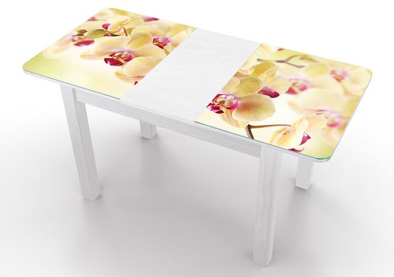 Розкладний стіл Boston A Орхідея Біле дерево white/16