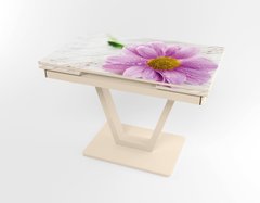 Розкладний стіл Maxi V base бежевий beige/11, Бежевий, 1100, 700, 750, 1700