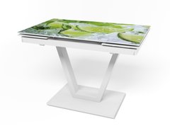 Кухонний стіл Maxi V білий (MaxiV/white/07), 1100, 700, 750, 1700