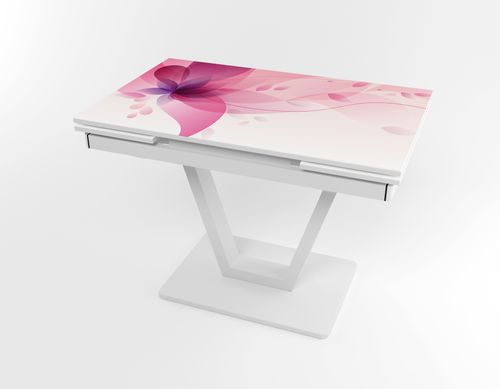 Розкладний стіл Maxi V base білий white/07, Білий, 1100, 700, 750, 1700