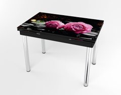 Розкладний стіл Maxi base Чорний black/03, Чорний, 1100, 700, 750, 1700